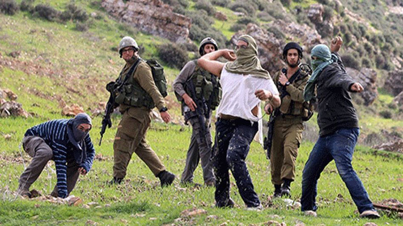 Report Examines Lack of Settler Prosecutions
