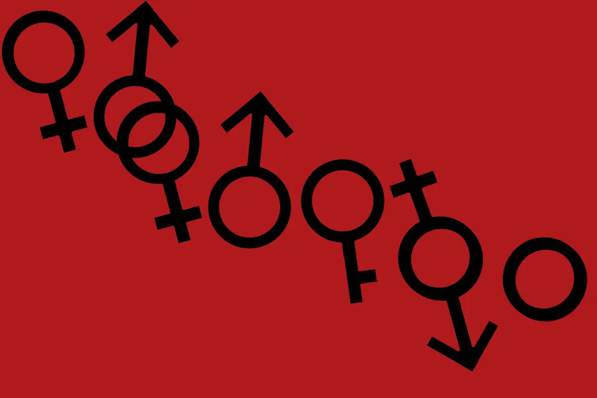 Talmud gender categories