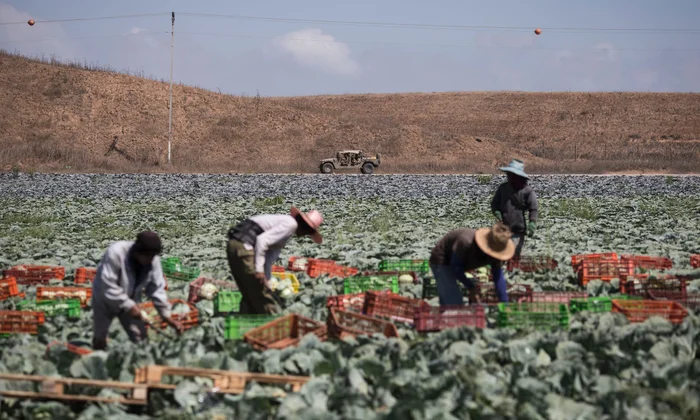 Report on worker abuse