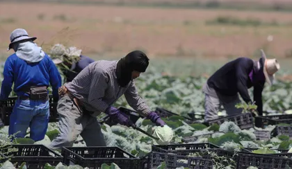 Migrant worker abuse report
