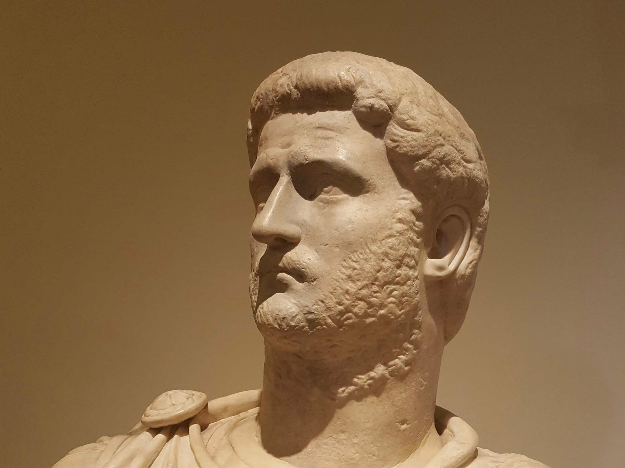 Gallienus Ascends Roman Throne